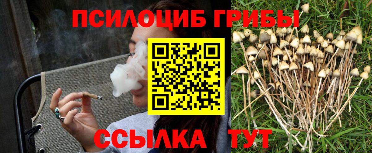 Галлюциногенные грибы Psilocybe  Вход с VPN  Асино 