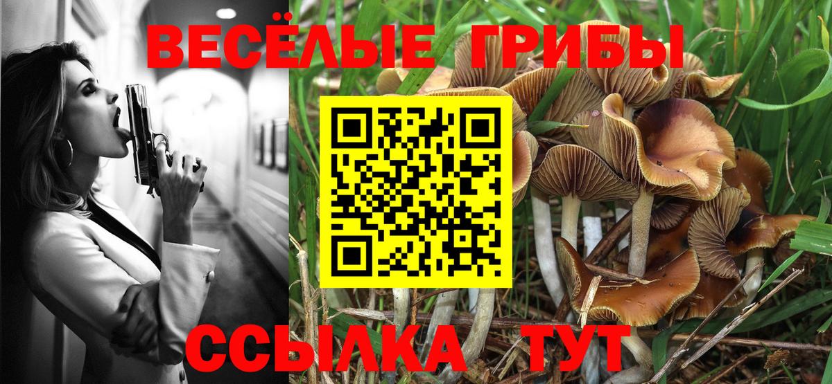 Псилоцибиновые грибы мухоморы Асино